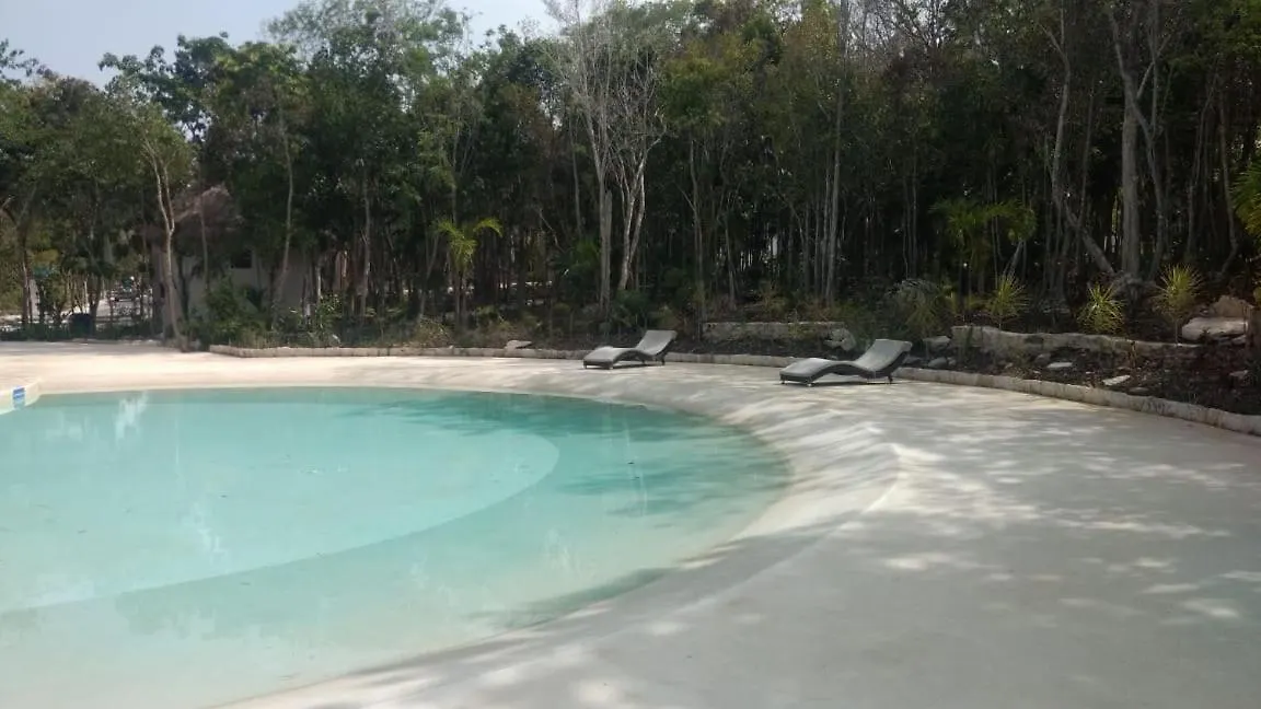 Appartement Alberca Privada, 5 Albercas,16 Huespedes,Sanitizada,Boutique,Atractiva ,Unica à Puerto Morelos